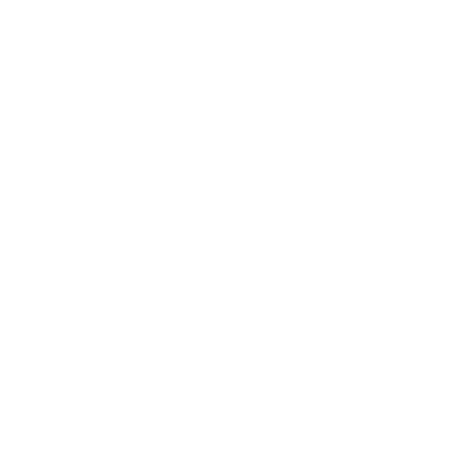 Icon_Stiefel_weiss